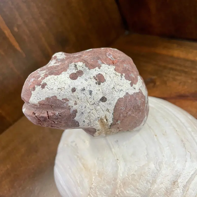 Brown Toad Fetish Carving – Salvador Romero 1