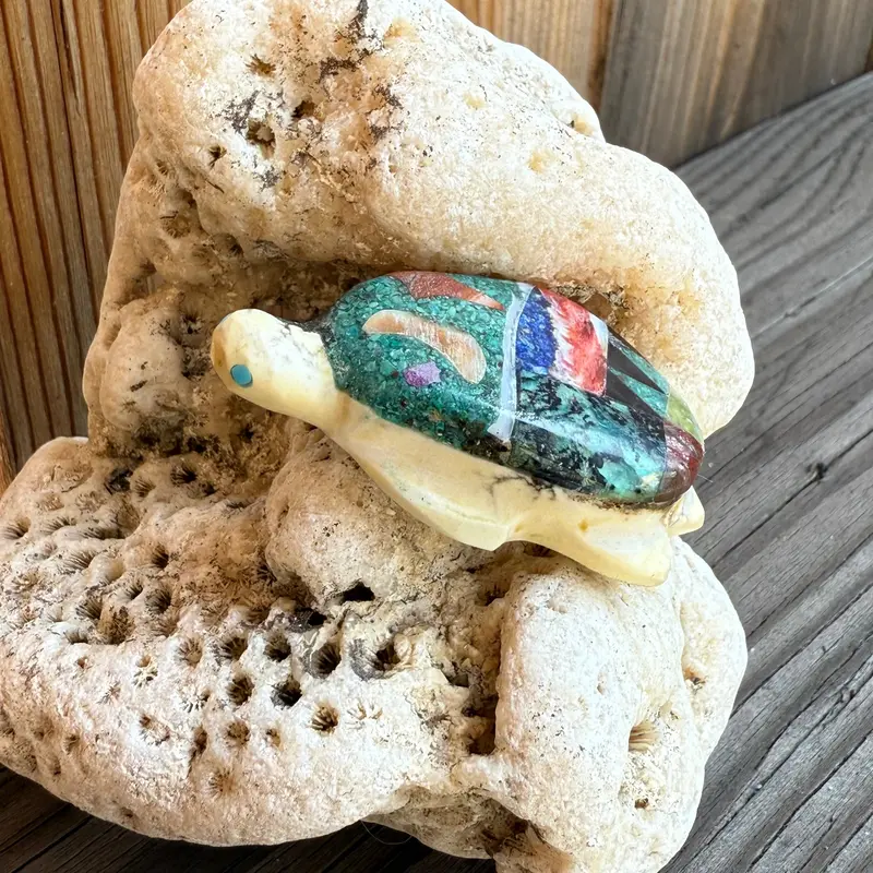 Jayne Quam'S Smooth Zuni Turtle Fetish Carving 1